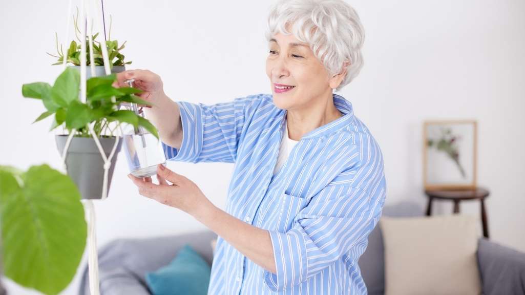 جلوگیری از افسردگی سالمندان